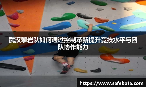 熊猫体育平台