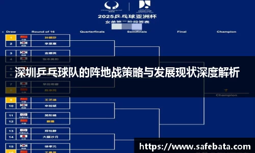 深圳乒乓球队的阵地战策略与发展现状深度解析